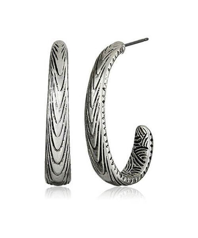 Raesent Scelerisque Dan